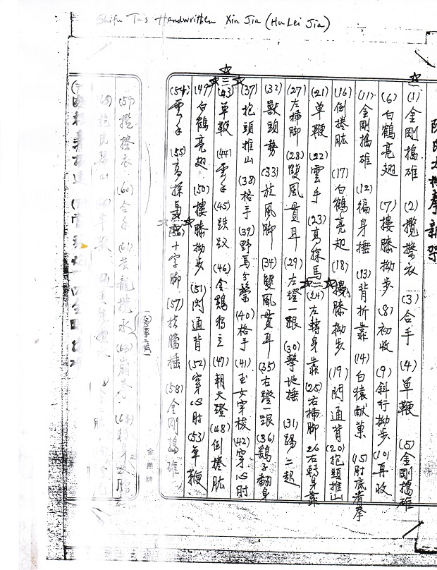 Sifu Tu handwritten movements